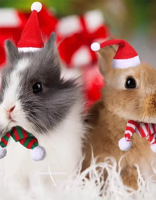 Load image into Gallery viewer, Hamster Christmas Halloween Costume Guinea Pig Small Pet Hat Scarf Headwear Pet Outfits for Chinchilla Rabbit Bunny Accessories
