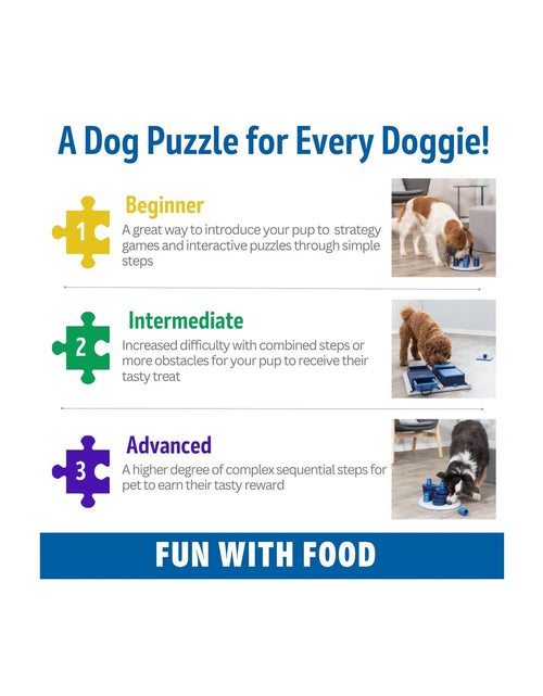 Load image into Gallery viewer, Dog Activity Flower Strategy Game, Level 3, Advanced Dog Puzzle Toy, Treat Dispenser
