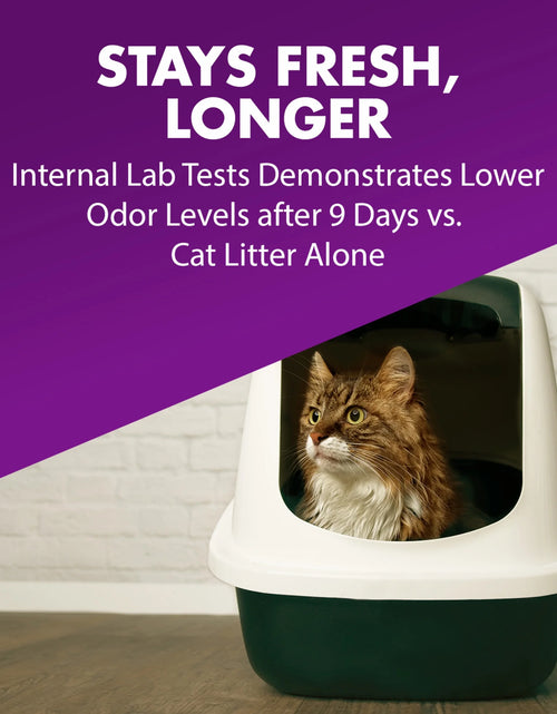 Load image into Gallery viewer, (2 Pack)  Double Duty Cat Litter Deodorizer and Pet Odor Eliminator, 33 Oz Box
