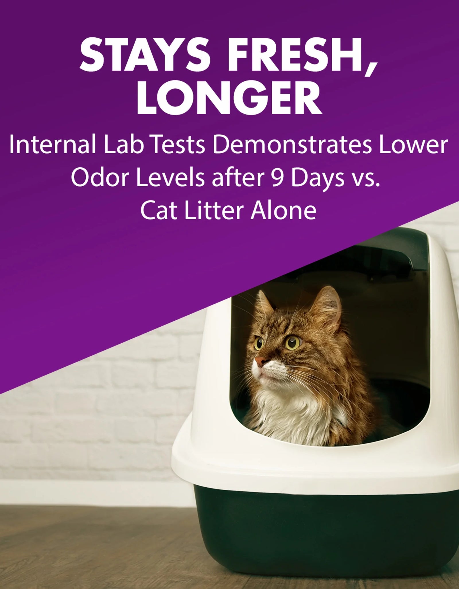 (2 Pack)  Double Duty Cat Litter Deodorizer and Pet Odor Eliminator, 33 Oz Box