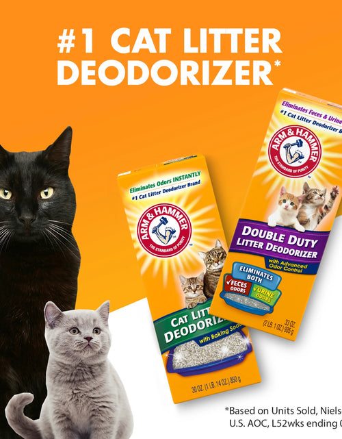 Load image into Gallery viewer, (2 Pack)  Double Duty Cat Litter Deodorizer and Pet Odor Eliminator, 33 Oz Box
